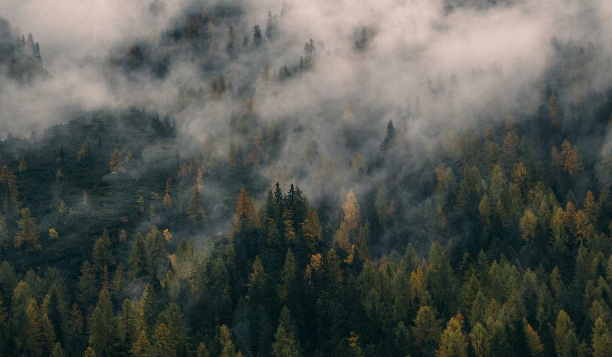 How to think clearly about comparing service options